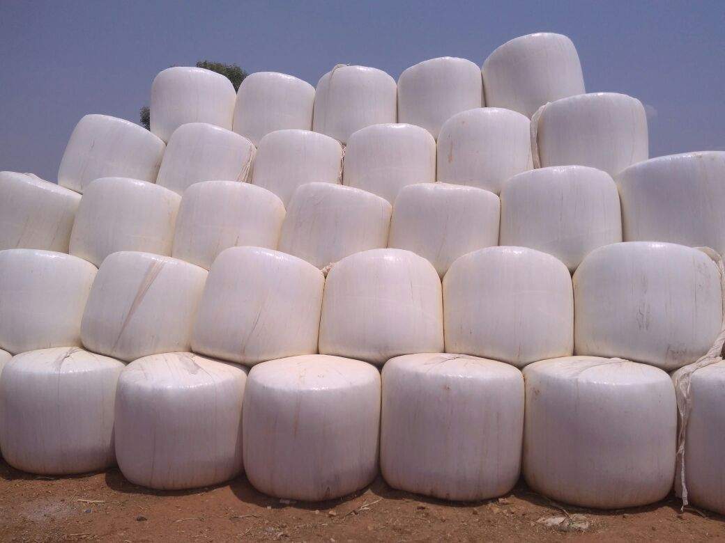 silage bag